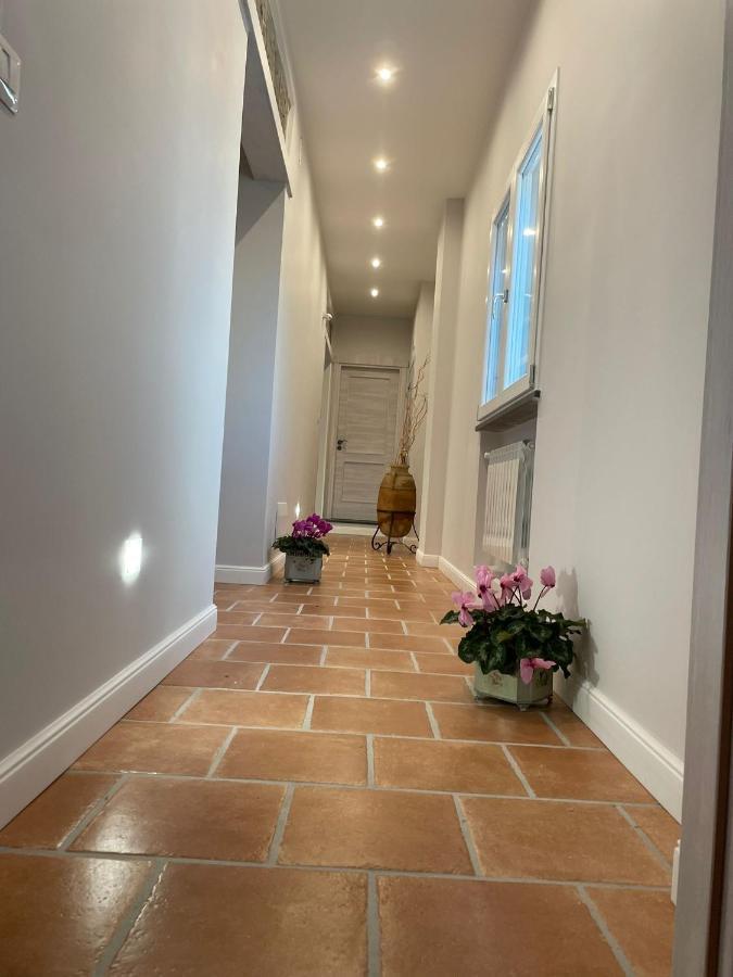 B & B La Casa Dei Sogni Casapulla Eksteriør billede